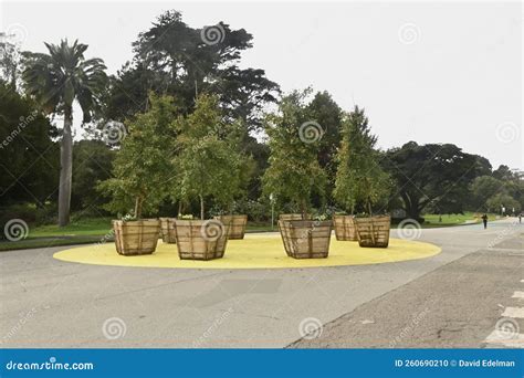 JFK Promenade Golden Mile Golden Gate Park 4 Stock Photo - Image of naturen, john: 260690210