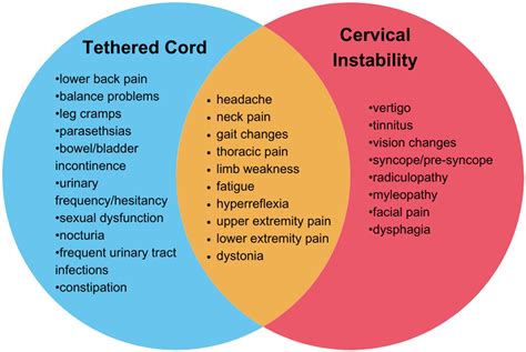 Frontiers | Co-occurrence of tethered cord syndrome and cervical spine instability in ...