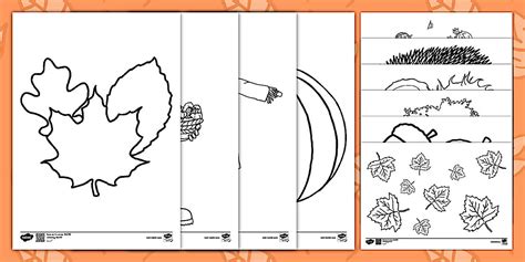 Toamna – Desene de colorat (teacher made) - Twinkl