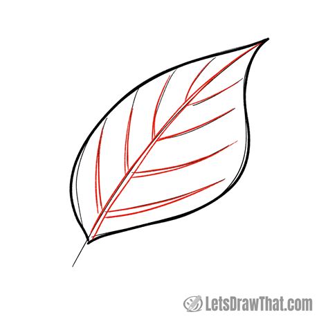How to Draw Leaves: 3 Easy Fall Leaf Drawings