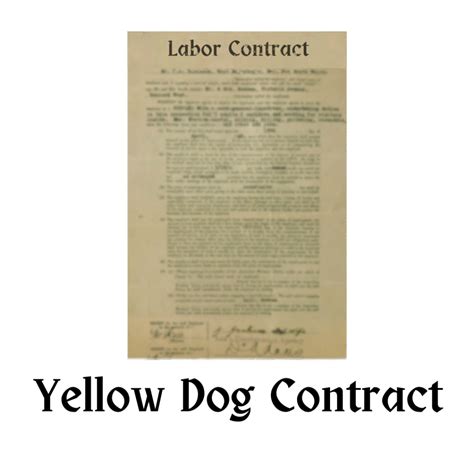 5 Miners Terms And Slang You May Not Know And Their Significance To The ...