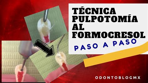 Image result for Software Engineeriing Course