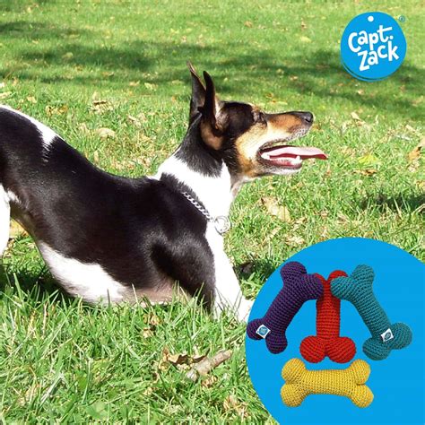 Buy CAPTAIN ZACK CROCHET BONE BISQUIT DOG TOY Online & Get Upto 60% OFF ...