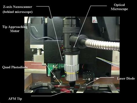 Image result for AFM Module A
