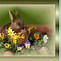 Image result for Free Download Animated Easter