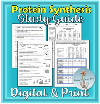 Image result for Codon Chart Practice