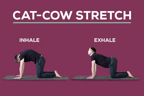 How To Relieve Sciatic Pain Naturally - Pain Free for Life