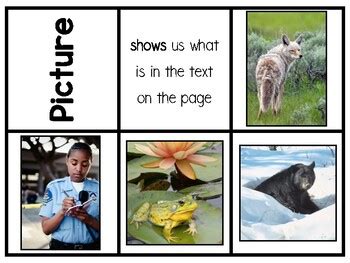 Image result for Text Feature Sort Elementary Activity