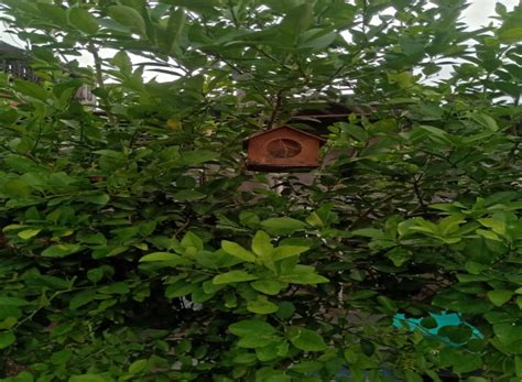 National NGO Federation - Home