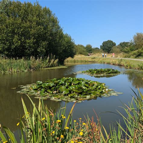 LYME AND WOOD PITS COUNTRY PARK (2025) All You Need to Know BEFORE You ...