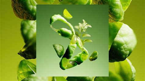 Image result for Modeling BTS Vimeo