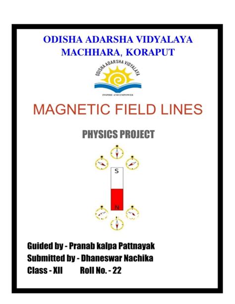 Image result for Magnetic Field Science Project