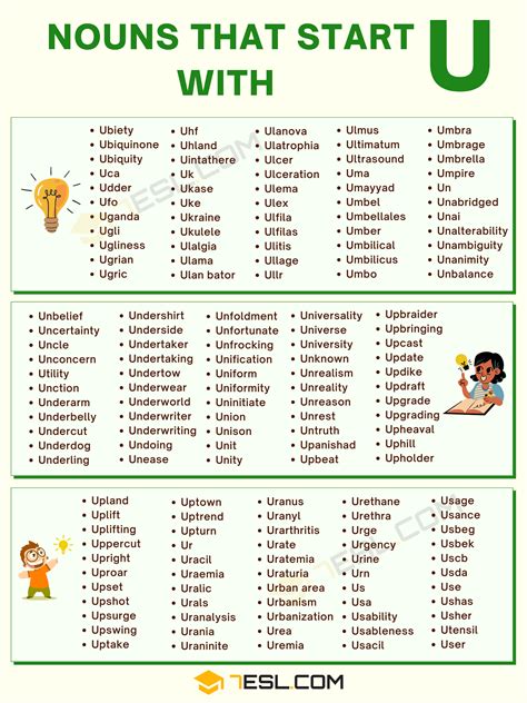 220 Nouns that Start with U in English • 7ESL