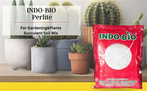 INDO-BIO Perlite For Gardening&Plants Succulent Soil Mix|Hydroponics ...