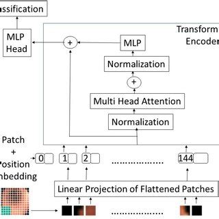 Vision Transformer 的图像结果