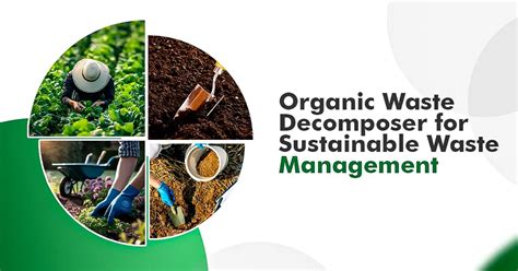 Organic Waste Decomposer Manufacturer | Calcus by SSCL