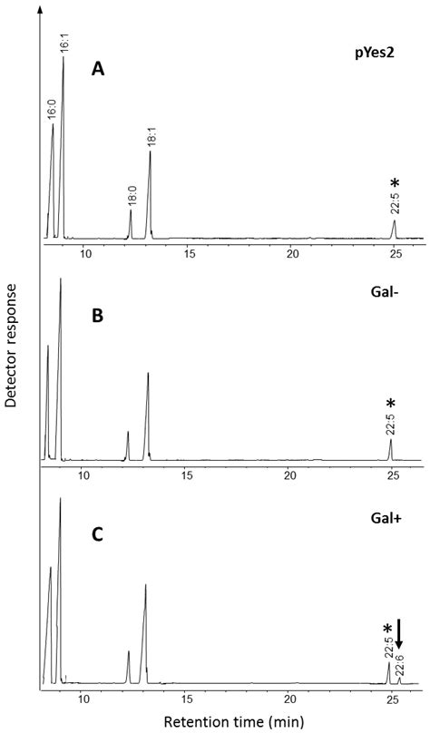 Identification and Functional Characterization of Genes Encoding Omega ...