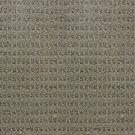 STAINMASTER Active Family Royal Livingstone Gray/Silver Indoor Carpet ...