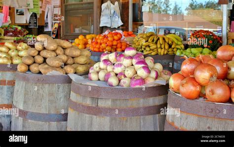 Outdoor Market 的图像结果