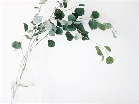 Buie Funeral Home | Rison, Arkansas | Ever Loved