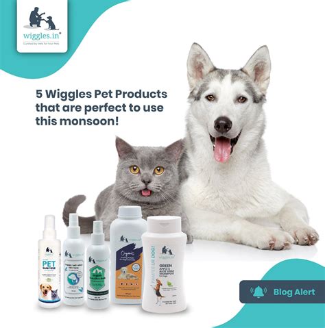 5 Wiggles Pet Products that are perfect to use this monsoon! – Wiggles.in