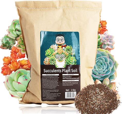 Amazon.com : Cactus Soil Potting Mix 5.5 Lbs, Organic Potting Soil ...