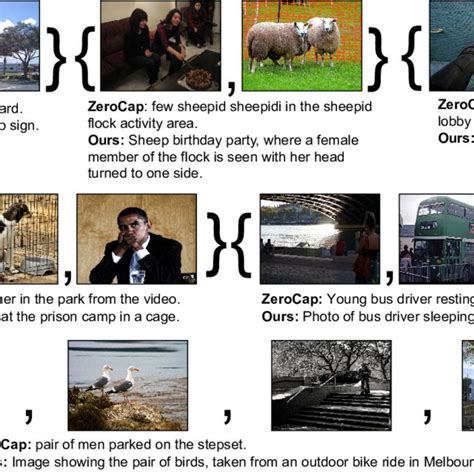 Image result for Photocaption Examples