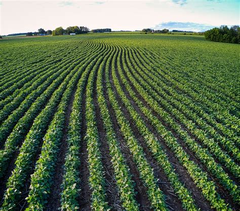 Farmland 的图像结果