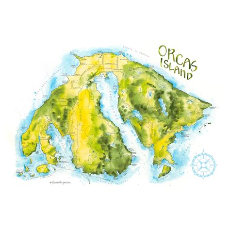 Buy Orcas Island Wa Map Watercolor Illustration Nautical Map Online in ...