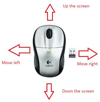 Image result for How to Use a Computer Mouse