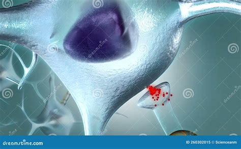 Brain Neuron 的图像结果