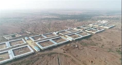 Lumpy skin disease: NGO to take care of 3250 ‘Kamadhenu’ in Agar Malwa