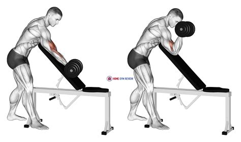 Dumbbell One Arm Zottman Preacher Curl - Home Gym Review