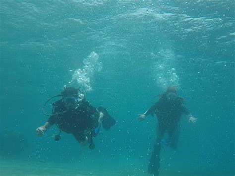 Aqaba International Dive Center - 2019 What to Know Before You Go (with ...