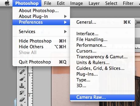 Image result for Camera Raw Basics
