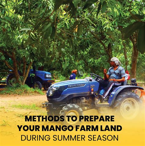 World's 100 Most Popular Mangoes | M/S Holidays Mango Farms