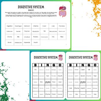 Image result for Digestive System Fun Activities
