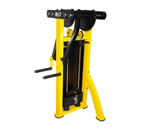 Side Lift with Machine 的图像结果