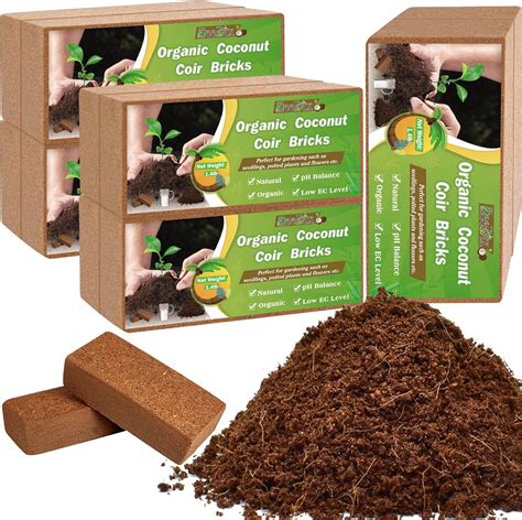 Amazon.com : ZeeDix 10 Pcs Compressed Coco Coir Brick for Plants ...