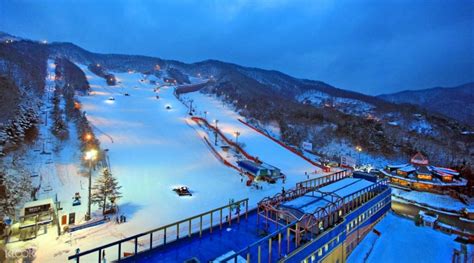 Yangji Pine Ski Resort and Gyeonggi Tour from Seoul