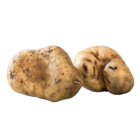 Ugly Harvest Potato: Organic and Sustainable Spuds in Delhi-NCR