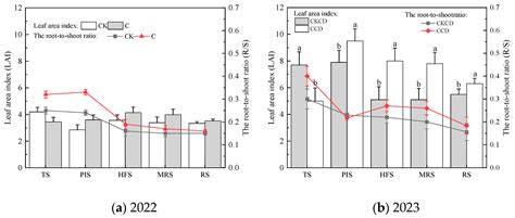 Effects of Paddy Rain-Flood Storage on Rice Growth Physiological ...
