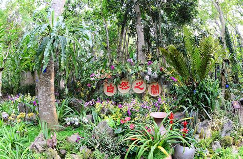 【携程攻略】勐腊中科院西双版纳热带植物园景点,西双版纳景点大大小小十几个，中科院西双版纳热带植物园也称勐仑植物…