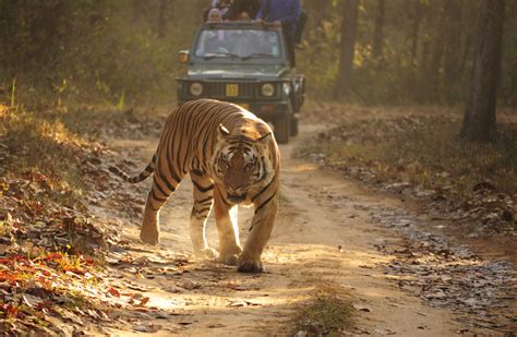 A trip to Kanha National Park | ixigo Travel Stories