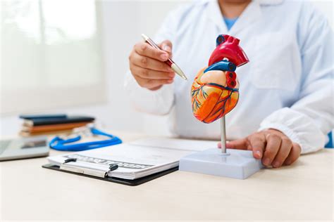 How to become a cardiologist: A step-by-step guide - futureMBBS