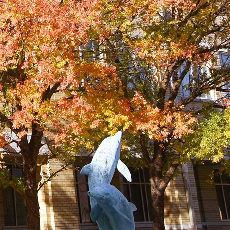 Wor-Wic Community College on LinkedIn: As we head into the Thanksgiving ...