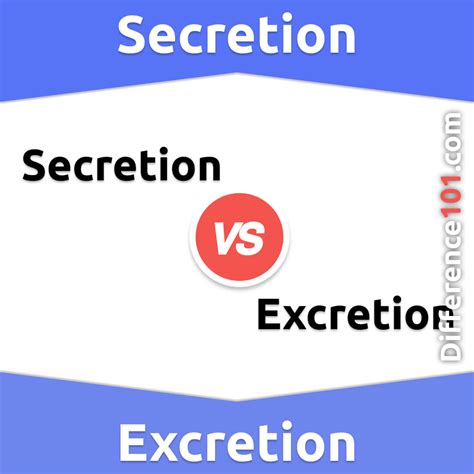 Secretion vs. Excretion: 7 Key Differences, Pros & Cons, Similarities ...