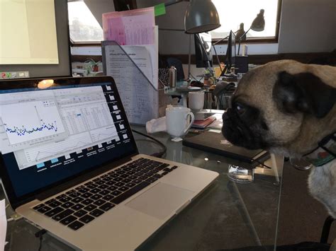 Measurelab Office Photos