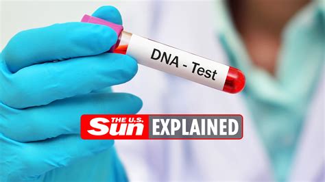DNA Testing Procedure 的图像结果