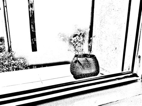 Image result for Using B WND Filter